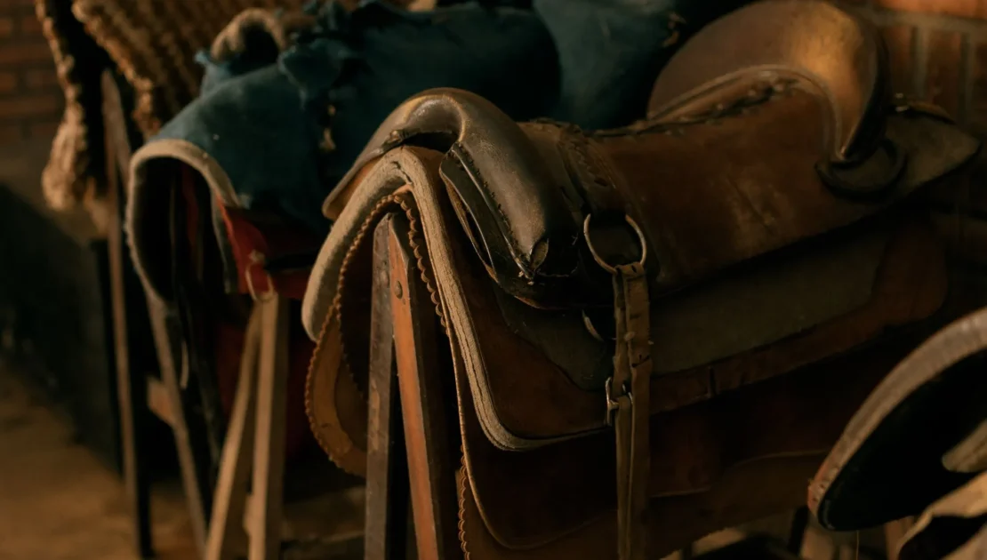 Many leather saddlery for horses