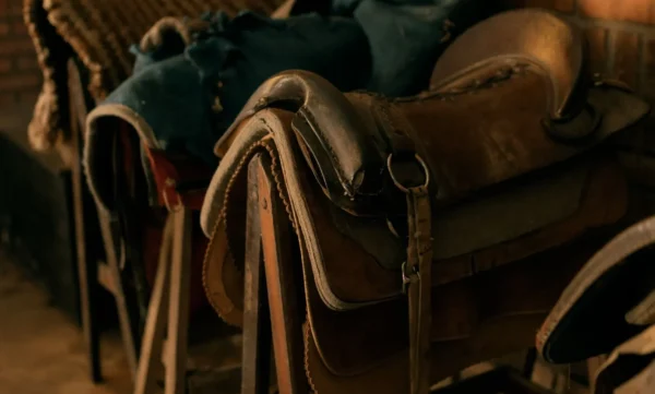 Many leather saddlery for horses