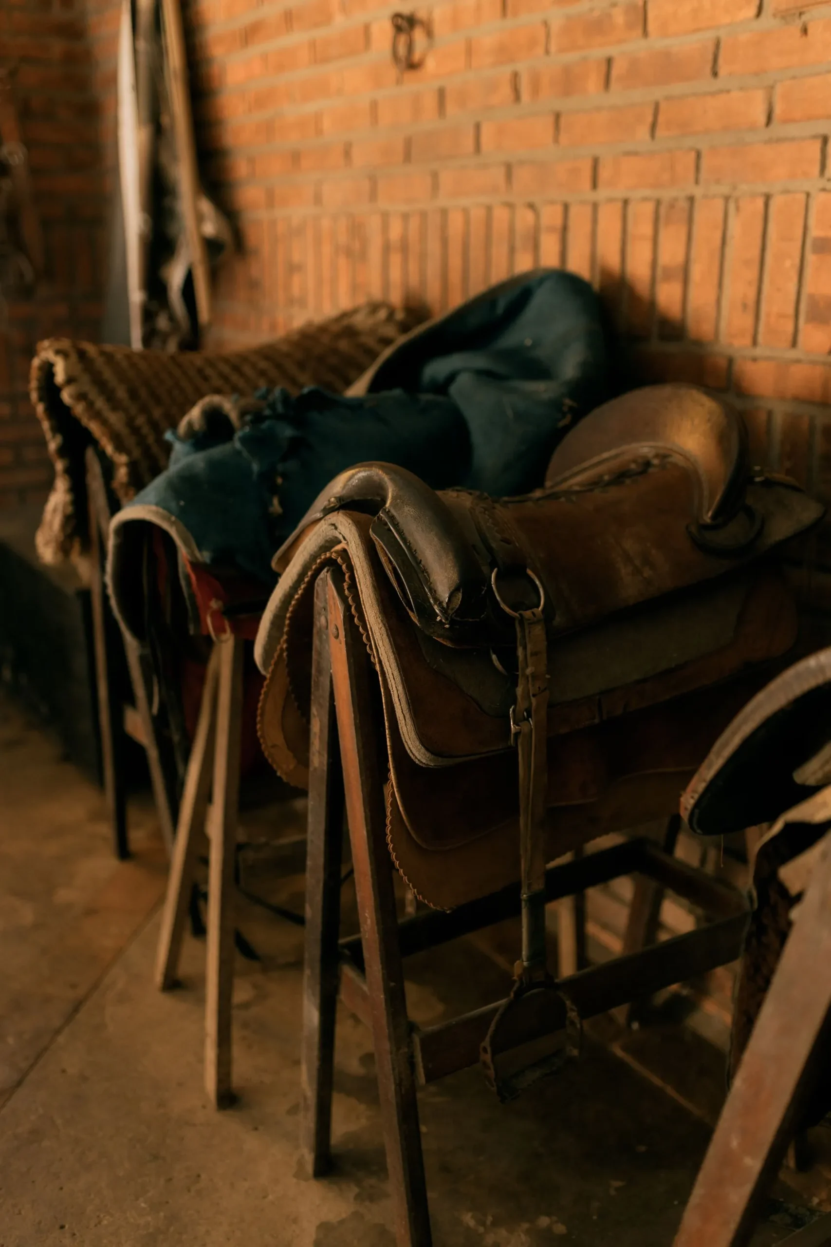 Many leather saddlery for horses