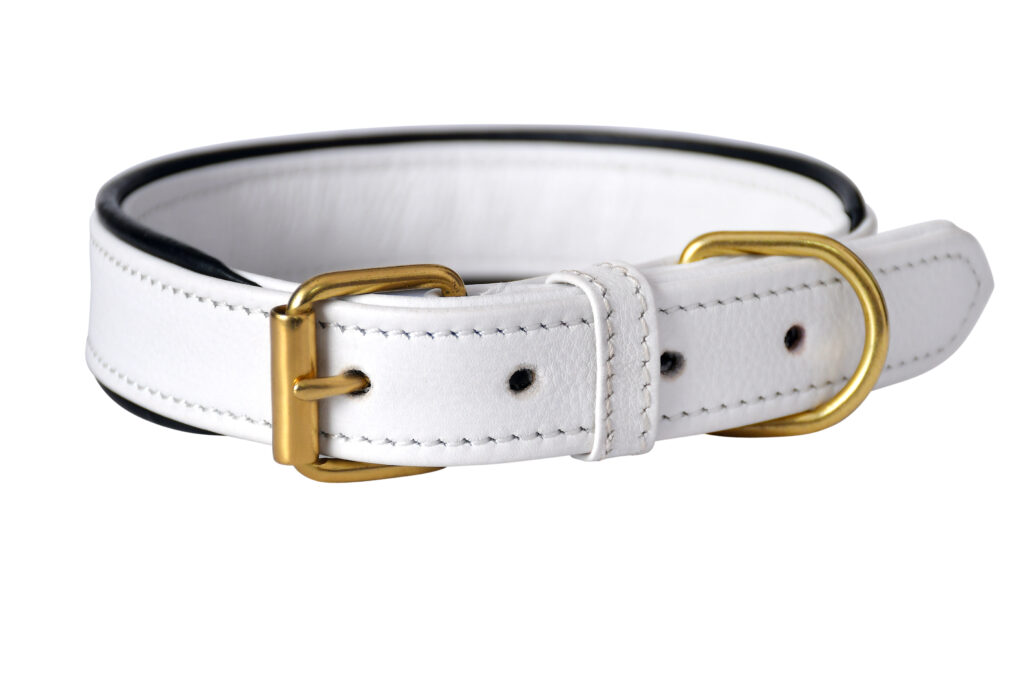 Soft Collar – White - White cow soft leather collar with machine stitching and brass lacquered hardware in 2.5 x 50 cm size for comfort...