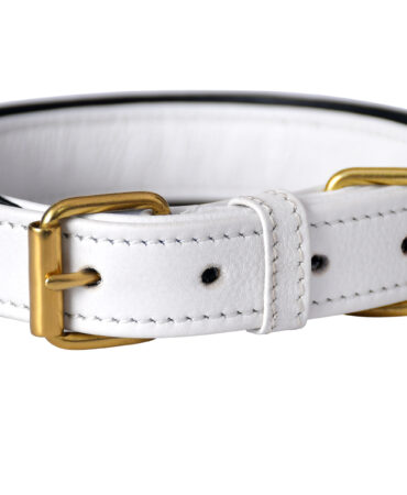 Soft Collar – White - White cow soft leather collar with machine stitching and brass lacquered hardware in 2.5 x 50 cm size for comfort...
