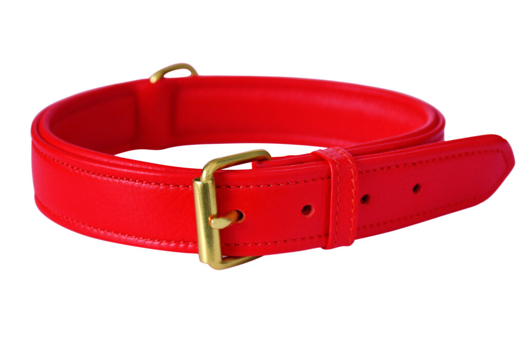 Soft Collar – Red - Red and white soft cow leather collar with machine stitching and brass lacquered hardware in 3 x 60 cm size...