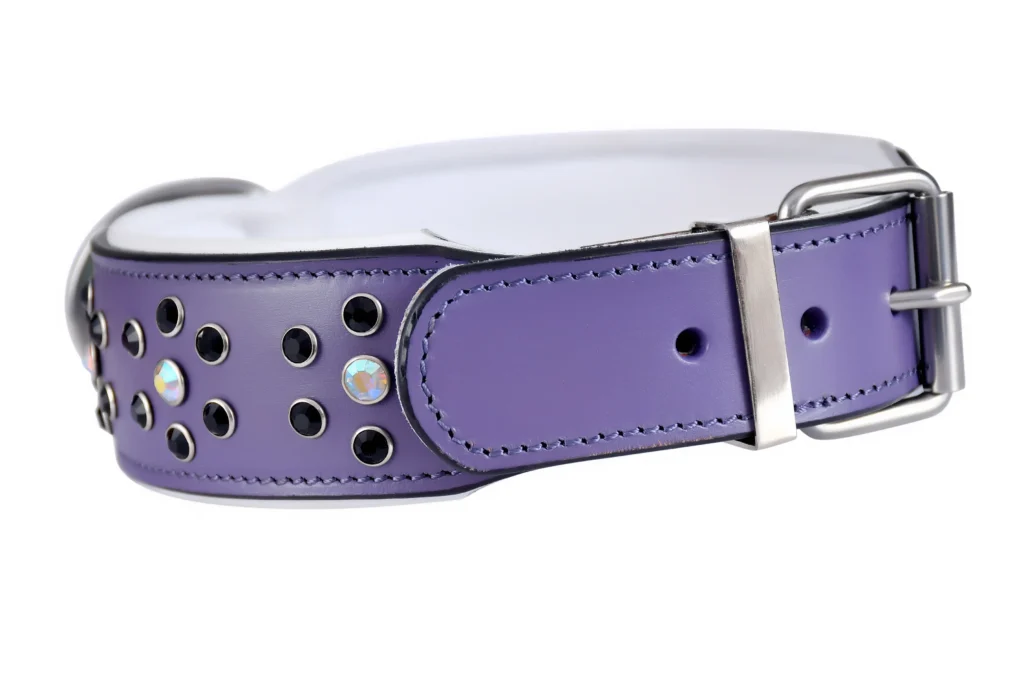 Fancy Collar – Purple - Image 1 - A large purple leather collar with soft white padding, decorative black and white stones, and stainless steel hardware for secure stylish use.
