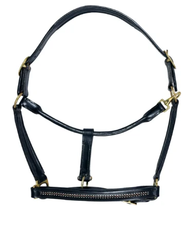 Leather Horse Halter - Full-size leather horse halter with adjustable fit and brass finish iron hardware, designed for durability and secure use.
