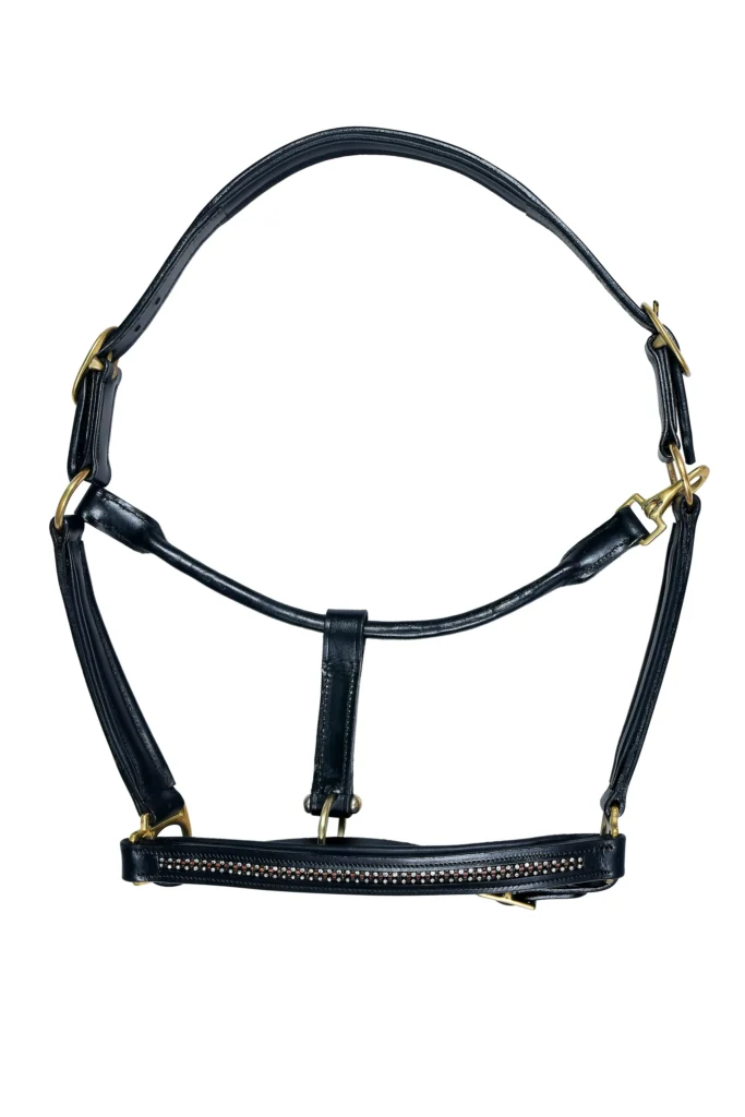 Leather Horse Halter - Full-size leather horse halter with adjustable fit and brass finish iron hardware, designed for durability and secure use.