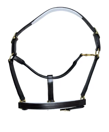 Leather Horse Halter – Black - Full-size black leather horse halter with adjustable fit and brass finish iron hardware, designed for durability and secure use.