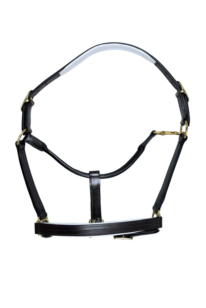 Leather Horse Halter – Black - Full-size black leather horse halter with adjustable fit and brass finish iron hardware, designed for durability and secure use.