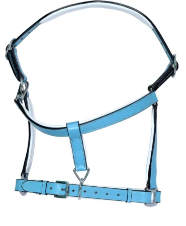 Leather Horse Halter – Blue - Full-size blue leather horse halter with adjustable fit and stainless steel finish iron hardware, designed for durability and secure everyday...