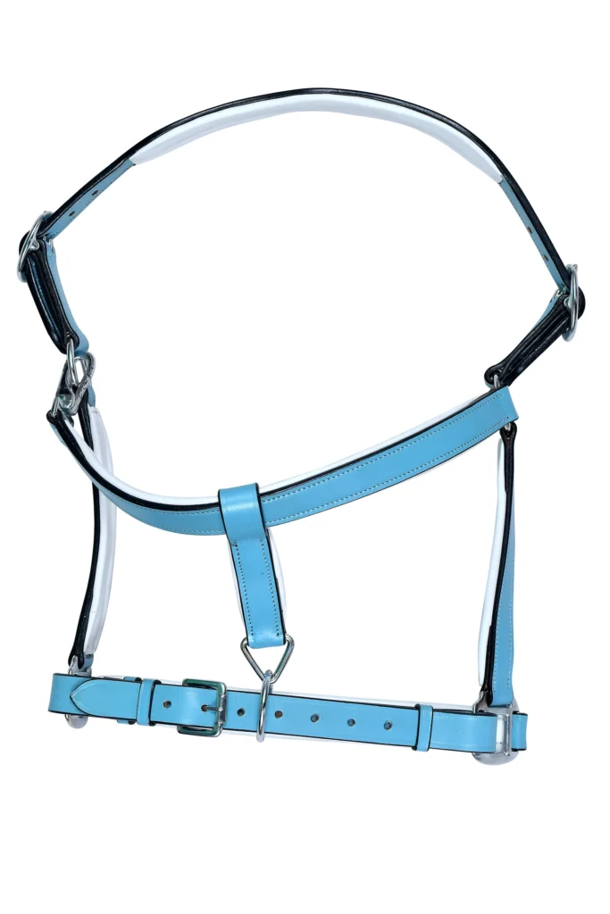 Leather Horse Halter – Blue - Full-size blue leather horse halter with adjustable fit and stainless steel finish iron hardware, designed for durability and secure everyday...