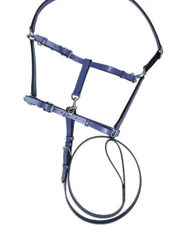 Fancy Halter- Purple - Purple leather halter-bridle combo in Full Size with reins, bit, adjustable fit, stainless steel finish iron hardware, and 802g weight.