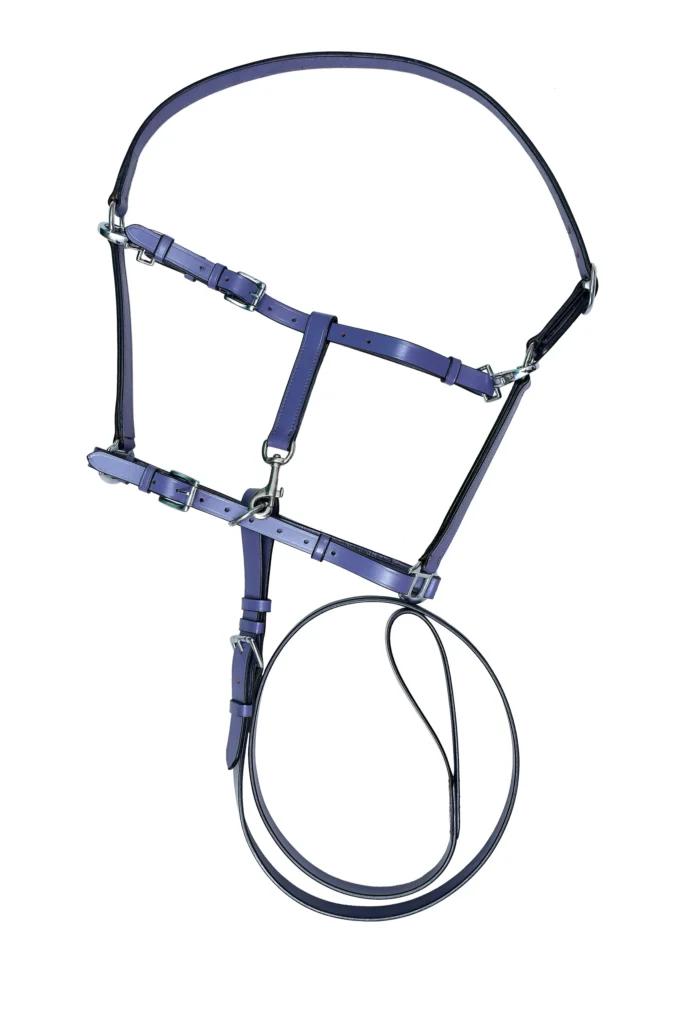 Fancy Halter- Purple - Purple leather halter-bridle combo in Full Size with reins, bit, adjustable fit, stainless steel finish iron hardware, and 802g weight.