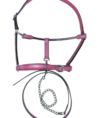 Fancy Halter – Pink - Vibrant pink leather halter and bridle combo in Full Size with chain reins, bit, fully adjustable design, and stainless steel...