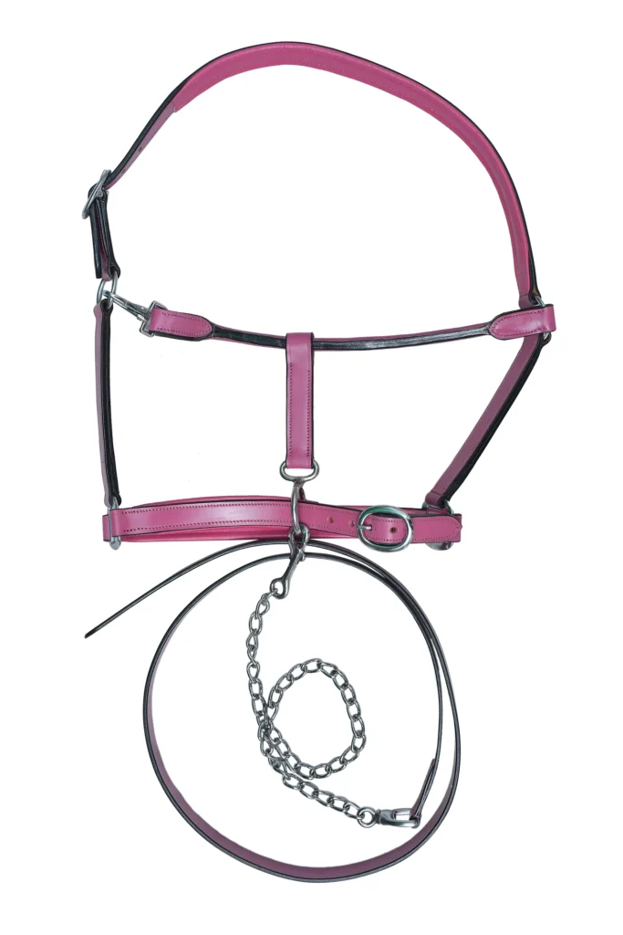 Fancy Halter – Pink - Vibrant pink leather halter and bridle combo in Full Size with chain reins, bit, fully adjustable design, and stainless steel...