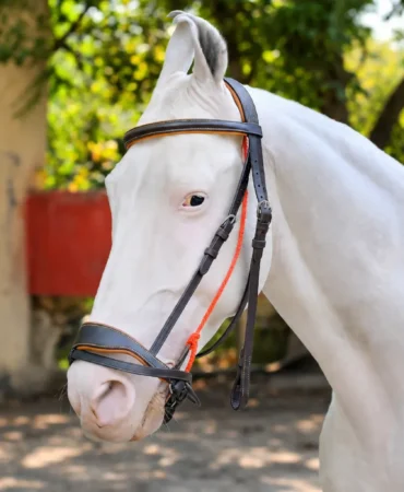 Dressage Brown Bridle Gallery Image 1 - Light brown leather horse bridle with tan soft cow leather padding and stainless steel fitting material. Designed in full size,...