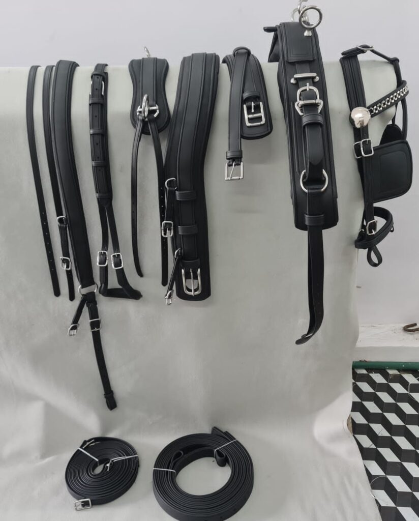 Biothane Single Harness Set - High-quality, durable Biothane single horse harness reinforced with leather and fitted with stainless steel hardware. Features an anatomical, dimensionally stable...