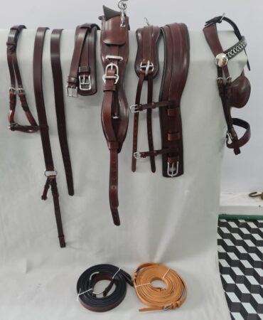 Leather Diplomatic Harness Set - Premium leather and webbing Diplomat Harness Set featuring an oiled finish, solid stainless steel fittings, and a complete marathon setup...