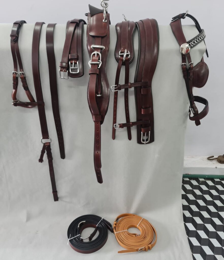 Leather Diplomatic Harness Set - Premium leather and webbing Diplomat Harness Set featuring an oiled finish, solid stainless steel fittings, and a complete marathon setup...