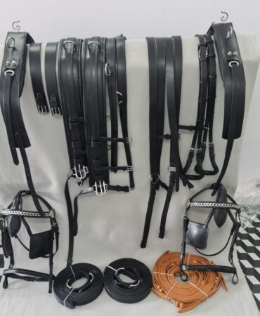 Leather Driving Harness Pair - Meticulously crafted horse harness featuring adjustable buckles for a custom fit, along with a padded breast collar and back pad...