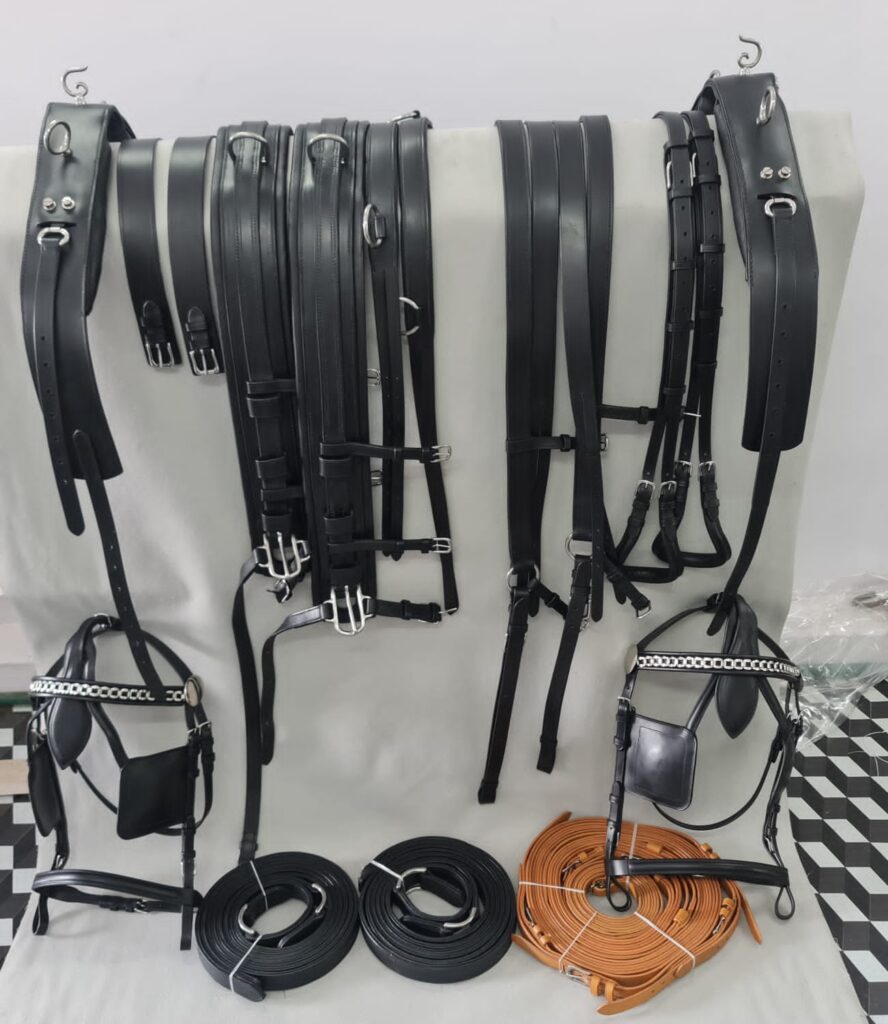 Leather Driving Harness Pair - Meticulously crafted horse harness featuring adjustable buckles for a custom fit, along with a padded breast collar and back pad...