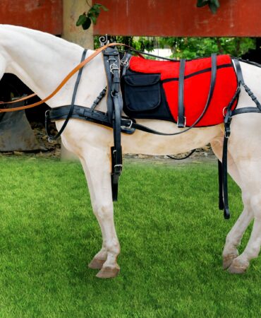 Leather Horse Driving Harness set - High-quality, durable Biothane single horse harness reinforced with leather and fitted with stainless steel hardware. Features an anatomical, dimensionally stable...