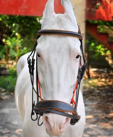 Hunter Brown Bridle - Light brown leather horse bridle designed with tan soft cow leather padding and stainless steel fitting material. The full-size construction...
