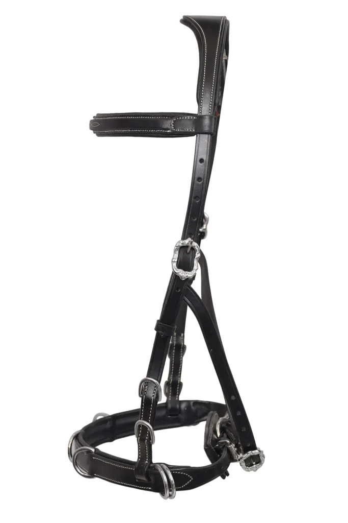 Hunter Black Fancy Bridle - Black leather bridle featuring diamond-cut gem detailing, decorative studs, and a jumping noseband. Crafted from black DD leather with stainless...