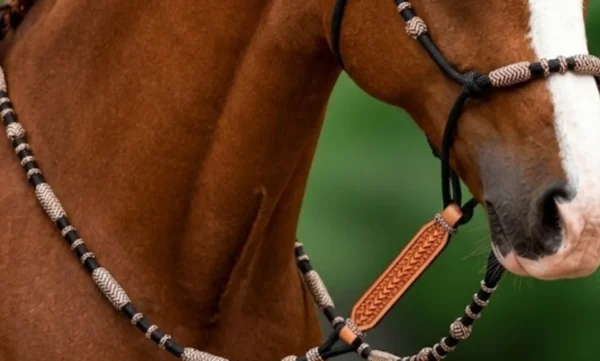 Horse wearing rope reins